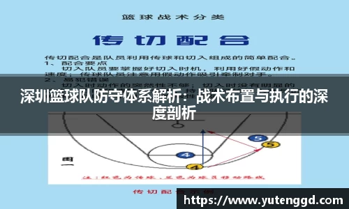 深圳篮球队防守体系解析：战术布置与执行的深度剖析